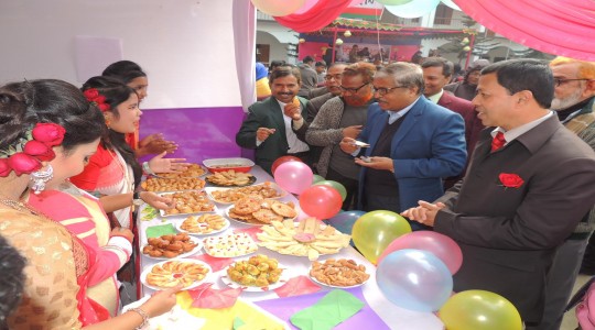 আরসিসিআই পাবলিক স্কুল এ্যান্ড কলেজে দিনব্যাপী আনন্দের পিঠা উৎসব